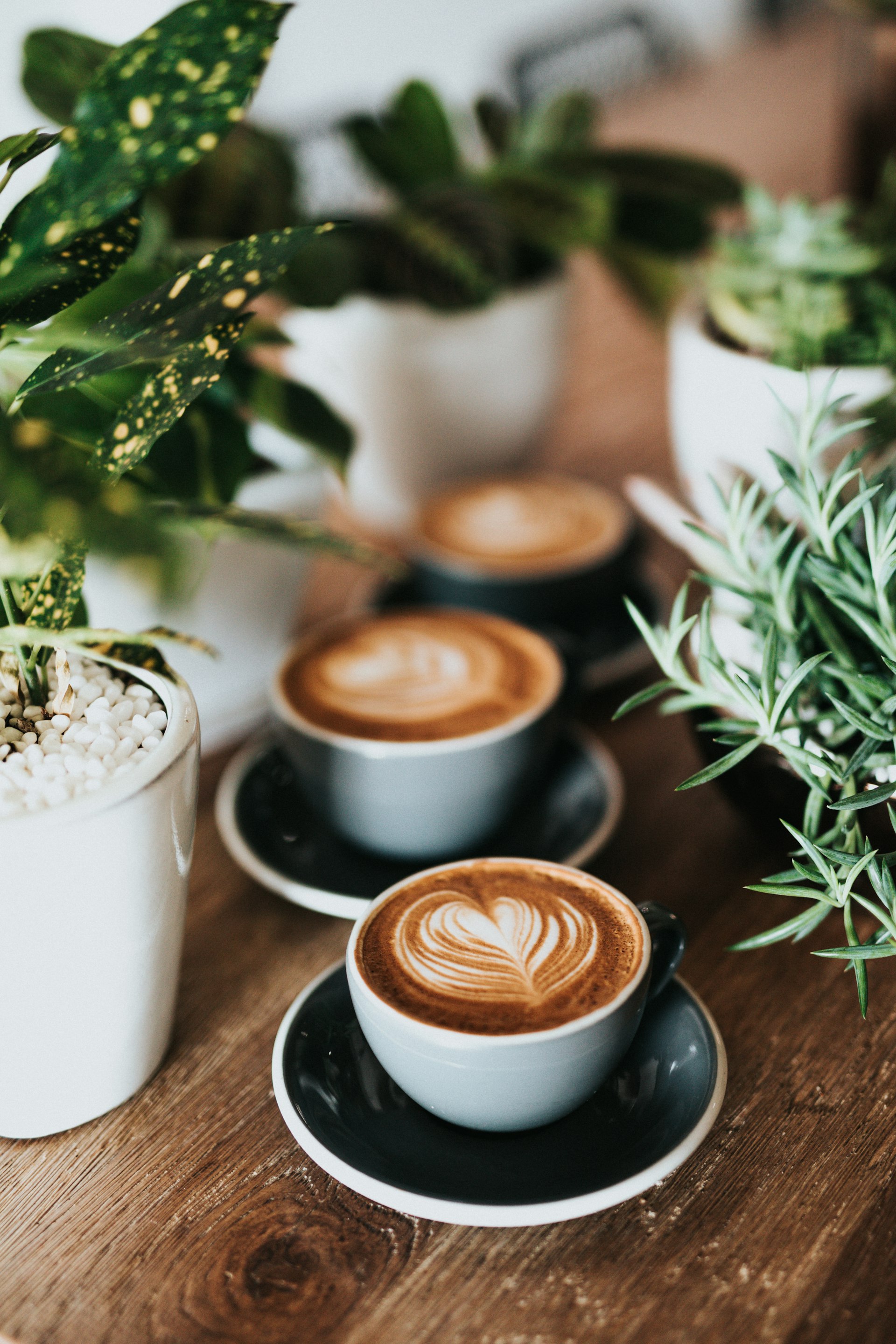 Premium coffee cup